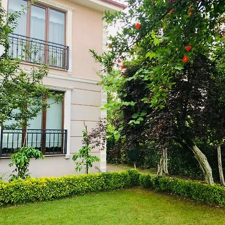 Cinar Villa Sapanca
